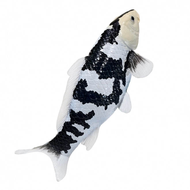 Mojo Karpfen Koi Shiro Utsuri