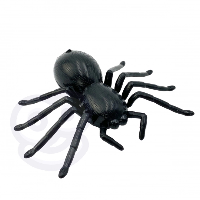 Interaktive ferngesteuerte Spinne