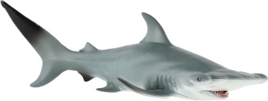 Originalgetreues Abbild des Großen Hammerhais