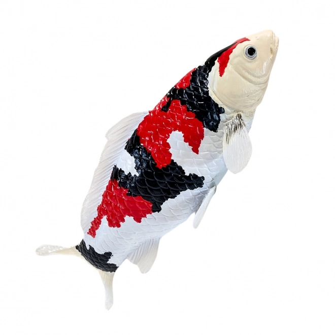 Mojo Karpfen Koi Showa Sanshoku