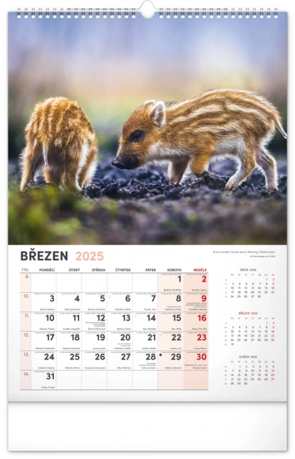 Wandkalender Jagd 2025