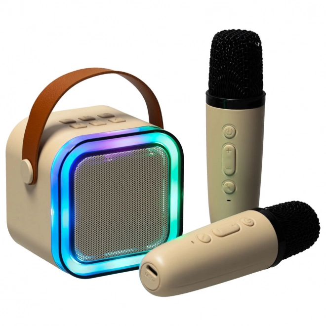 Karaoke-Set mit 2 Mikrofonen und Bluetooth-LED-Lautsprecher