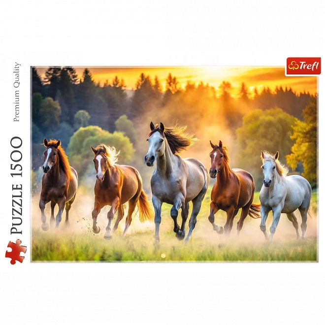 Puzzle Dzikie Pferde