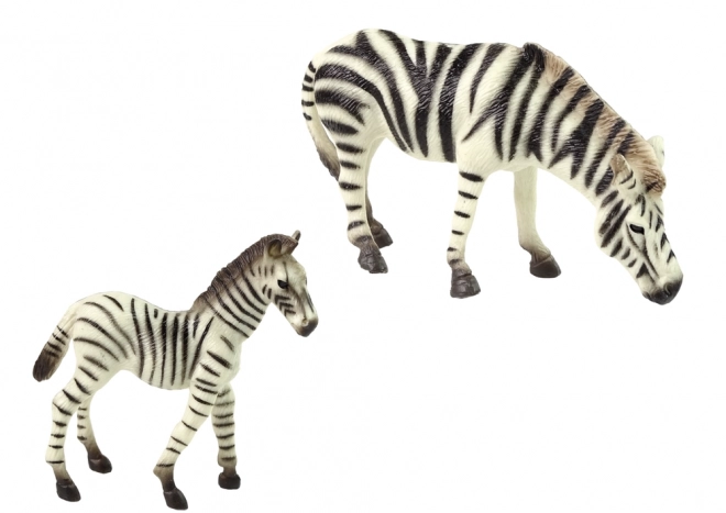 Zebraset mit Erwachsener und Jungtier - Tiere der Welt Serie