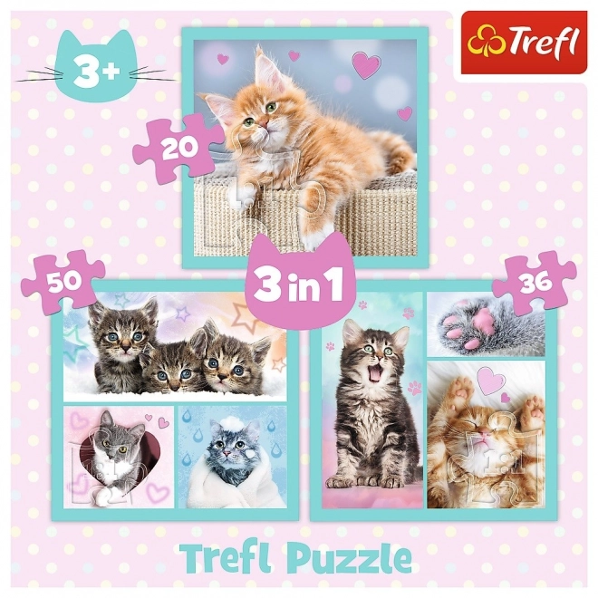 Süße Tierchen Katzen Puzzle 3-in-1