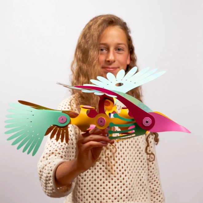 Magnetische Bausätze Clixo tropische Vögel aus dem Regenwald