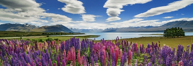 HEYE Panoramapuzzle Lake Tekapo, Neuseeland