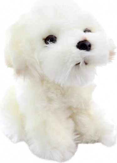 Realistische Details eines niedlichen Welpen