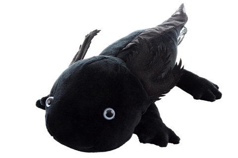 Schwarzer Plüsch-Axolotl umweltfreundlich 32 cm