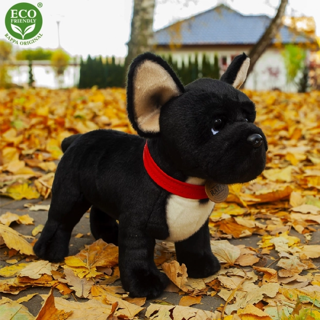 Plüsch-Französische Bulldogge Schwarz mit Halsband Stehend 30 cm Umweltfreundlich