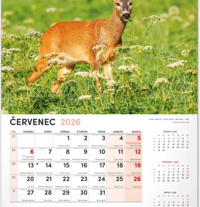Jagd-Wandkalender 2026