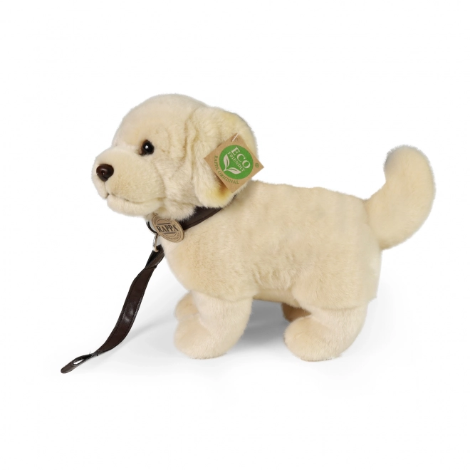 Plüschhund Golden Retriever mit Leine 25 cm