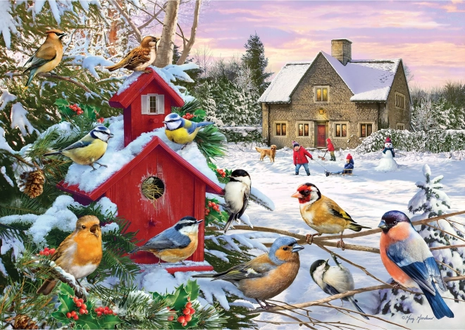 GIBSONS Puzzle Winterflügel 1000 Teile