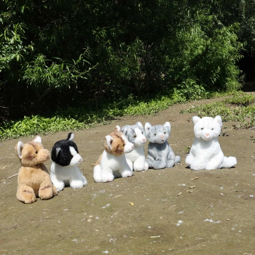 Sechs schöne Varianten für jeden