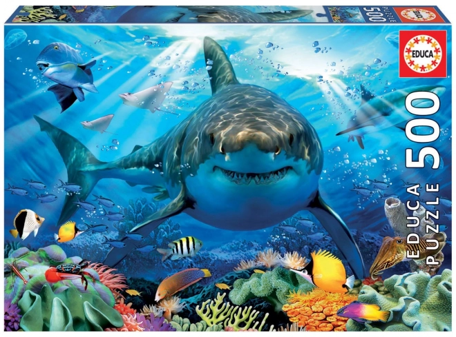 Puzzle Weißer Hai 500 Teile