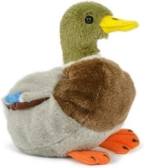 Plüsch-Wildenten-Drake 18 cm