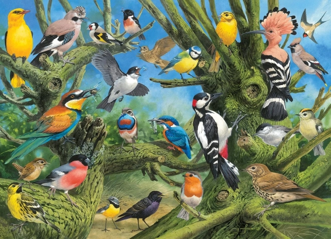 EUROGRAPHICS Puzzle Vögel im Garten – 1000 Teile