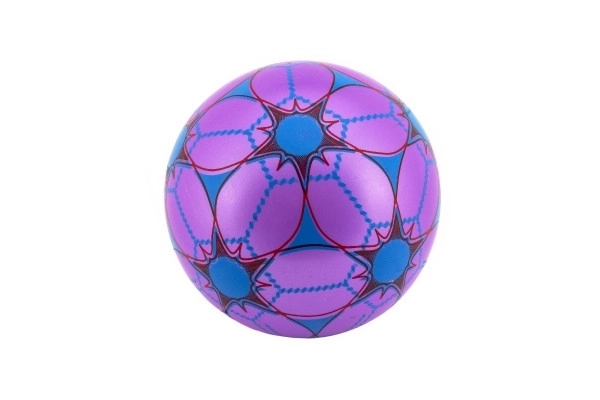 Bunter Ball aus Gummi 23 cm im Netz