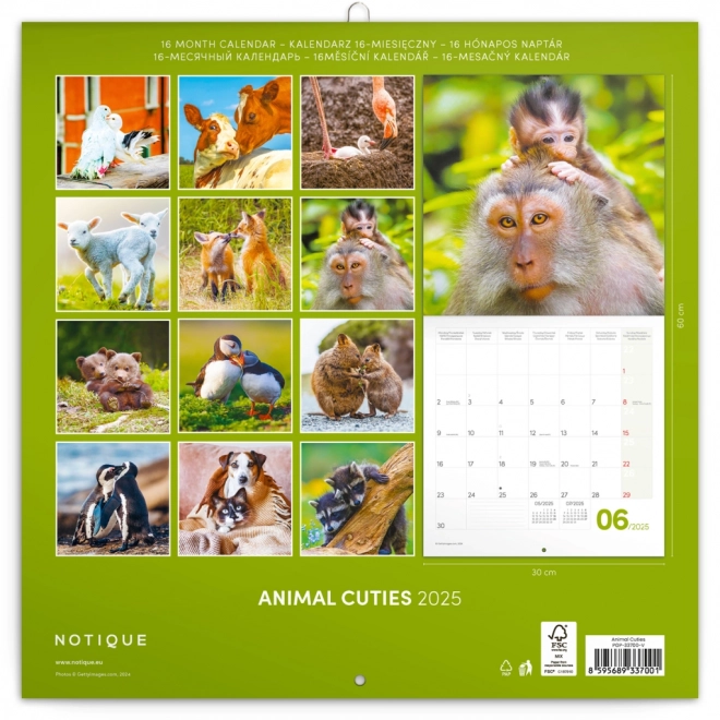 Kalender Mlade Tiere 2025