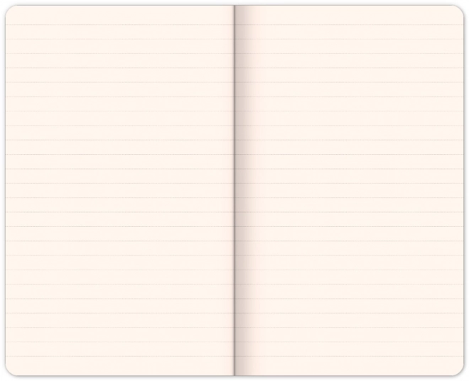 Notizbuch mit Mickey-Maus-Design