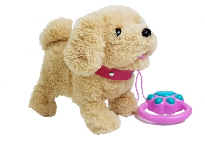 Plüsch-Hund mit Leine und Batteriebetrieb, Creme