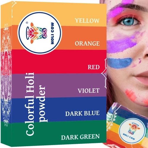 Holi-Farbpulver – Set 6×100 g