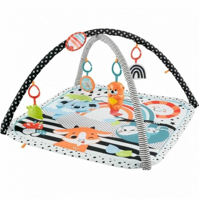 Fisher-Price Spielmatte mit Otter 3-in-1