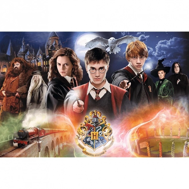 Mystery Harry Potter Puzzle 300 Teile