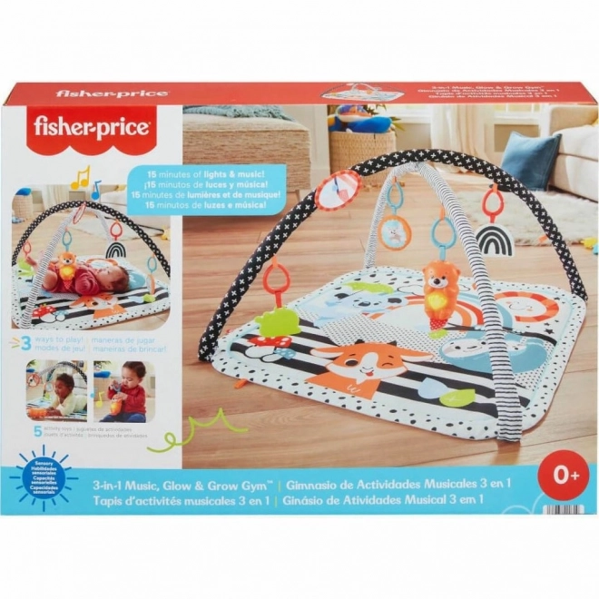 Fisher-Price Spielmatte mit Otter 3-in-1