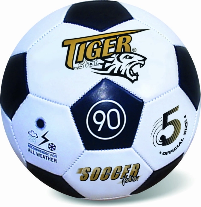 Schwarzer Lederfußball