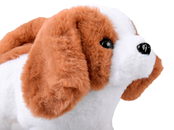 Niedlicher Plüschhund mit realistischen Funktionen