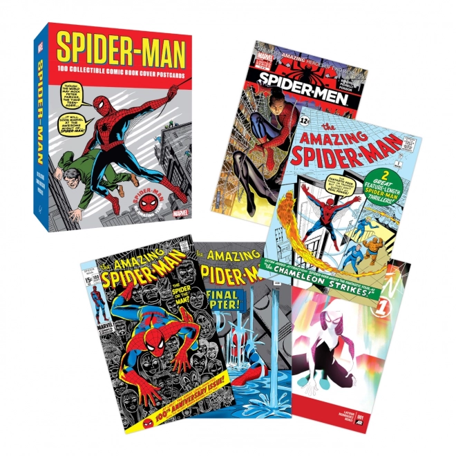 Spider-Man Postkarten Set