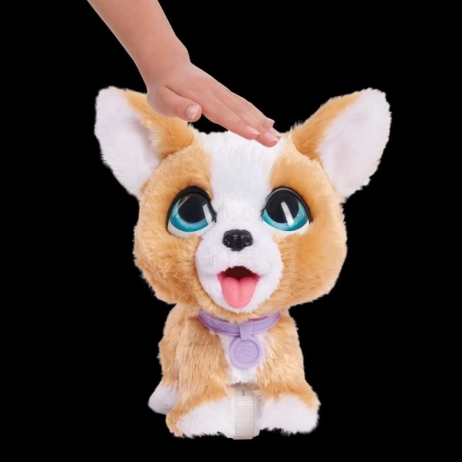 FurReal interaktiver corgi welpe