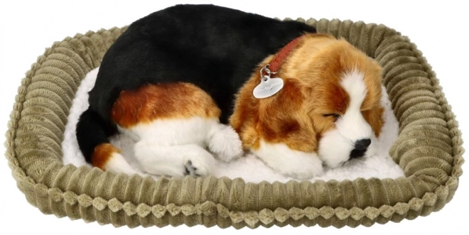 Atmender Welpen Beagle von Perfect Petzzz