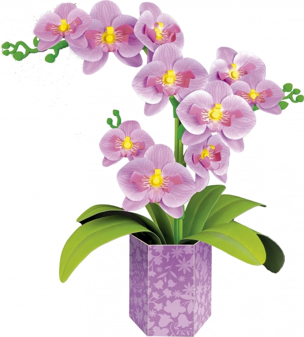 Educa 3D Puzzle - Orchidee