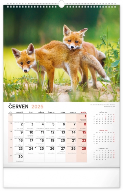 Wandkalender Jagd 2025