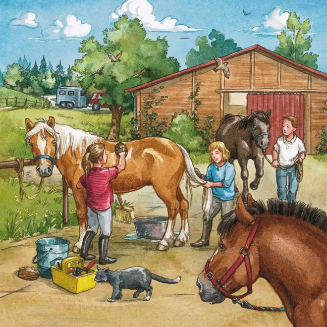 Ravensburger Puzzle Bei den Pferden 3x49 Teile