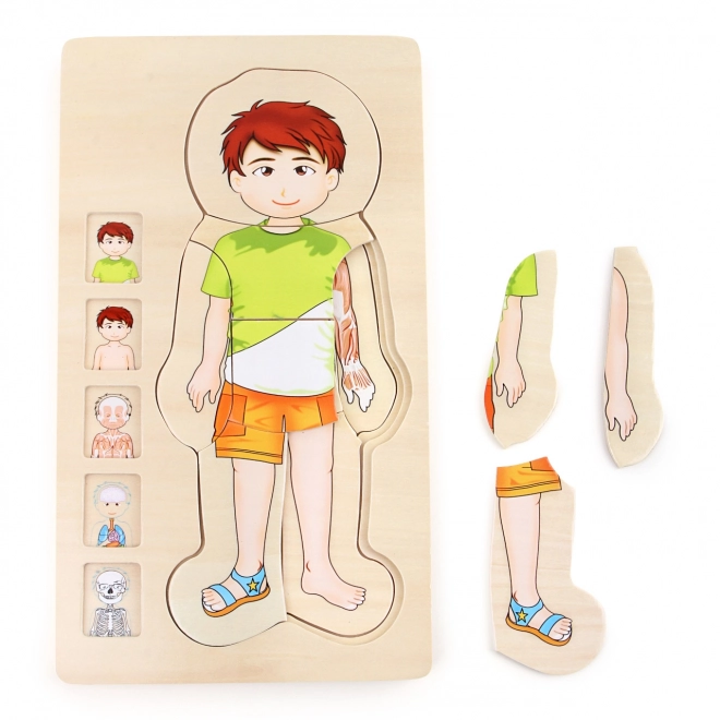 Small Foot Holzpuzzle Anatomie Tim