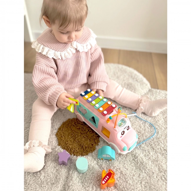 Woopie rosa Musikauto mit Sortierelementen und Zymbeln