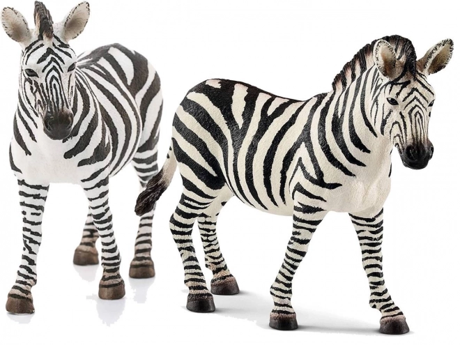 Zebrafigur Weiblich - Wild Life Serie