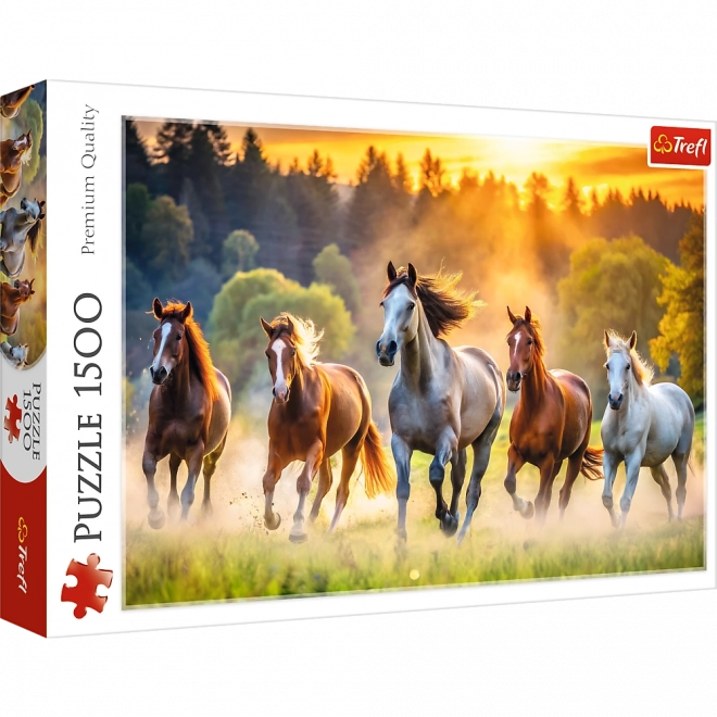 Puzzle Dzikie Pferde