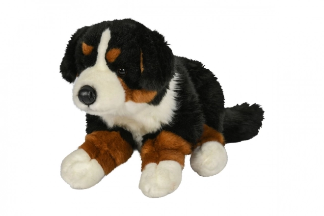 Plüsch Berner Sennenhund 42 cm