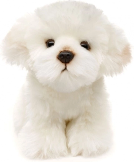 Eco-friendly und sichere Ausführung