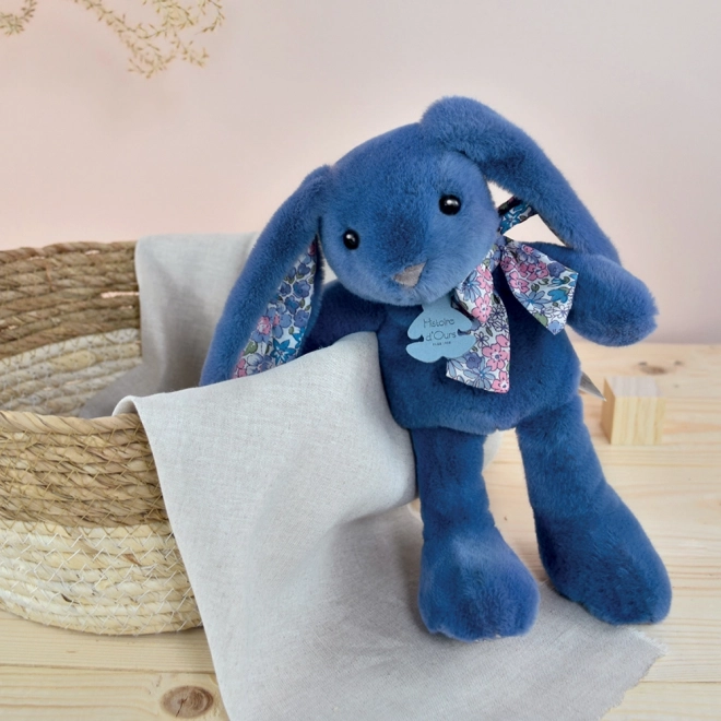 Doudou Historie D'ours Blauer Plüschhase