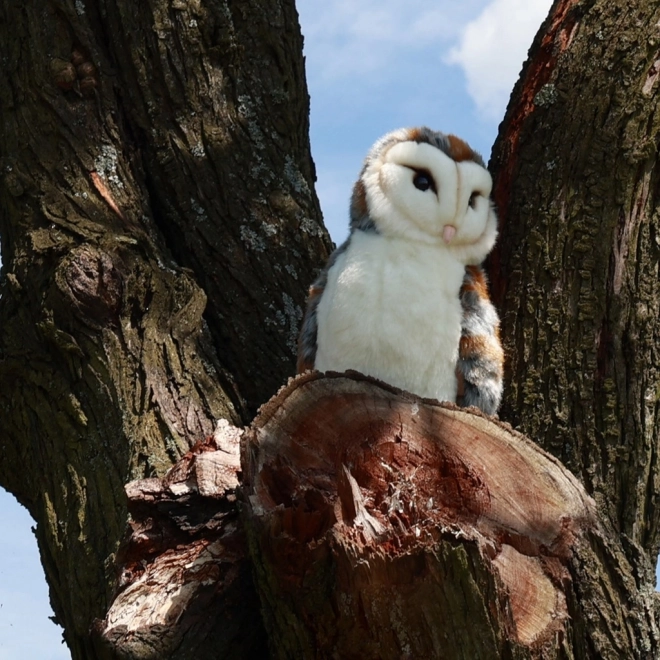 Plüsch-Schleiereule 27 cm Umweltfreundlich