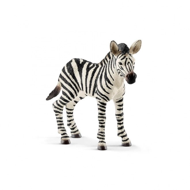 Zebra-Fohlen Schleich Wild Life