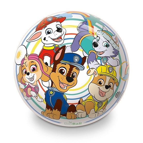 Paw Patrol Spielball für Kinder