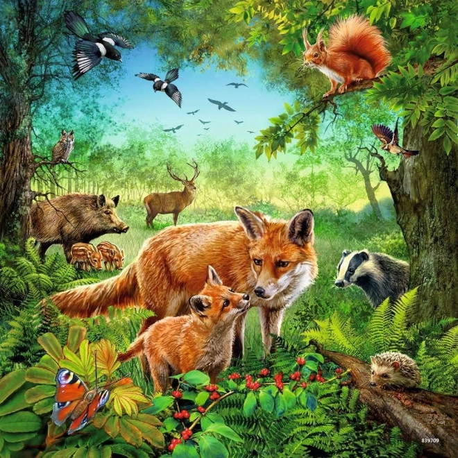 Ravensburger Tiere Puzzle 3x49 Teile