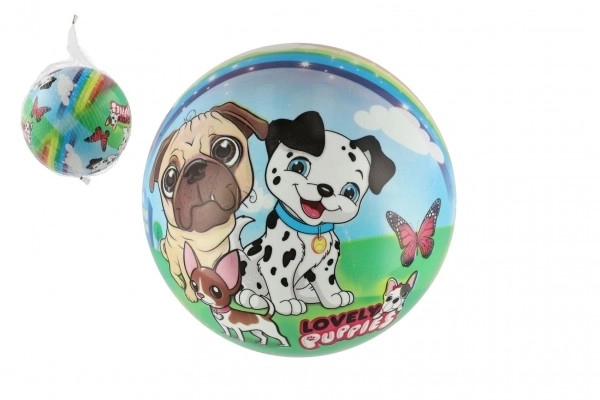 Aufblasbarer Ball für Kinder 23 cm in Netz