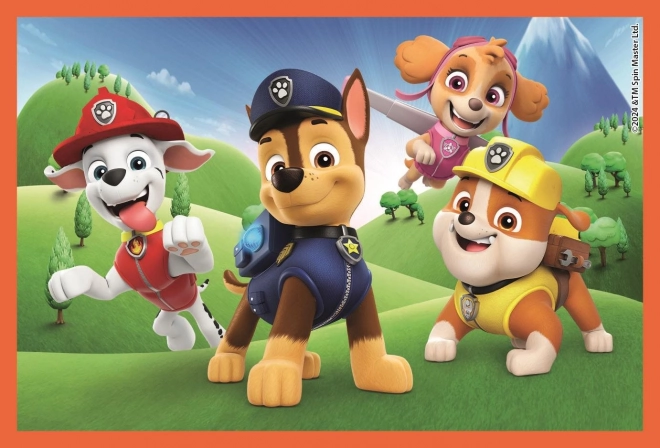 Bildwürfel Paw Patrol für Kinder